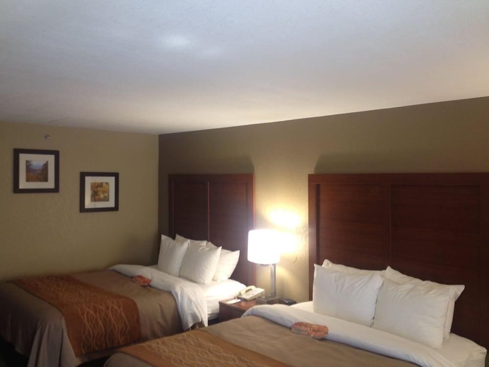 Comfort Inn Biltmore West Asheville Dış mekan fotoğraf