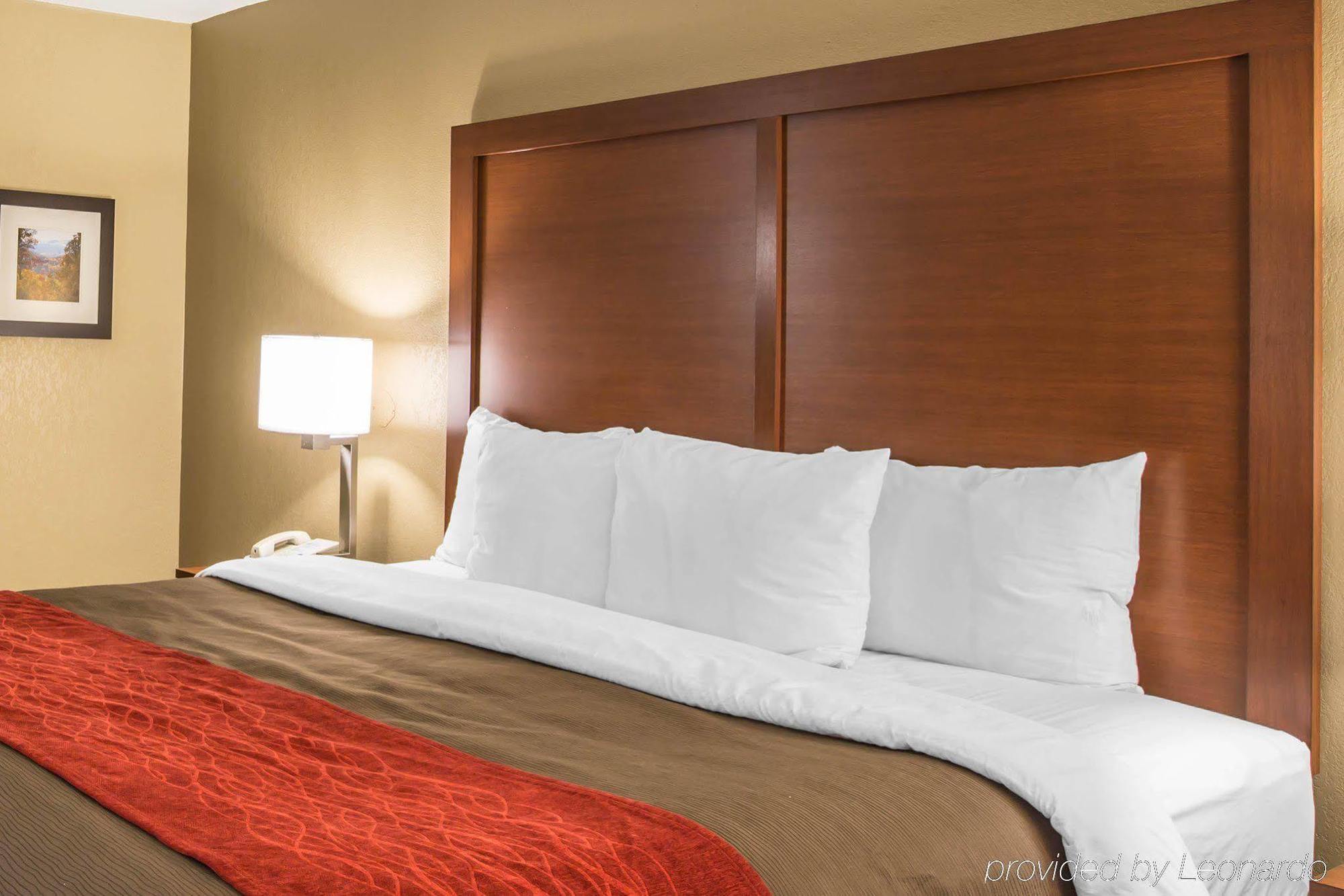 Comfort Inn Biltmore West Asheville Dış mekan fotoğraf